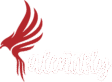 Talentifly
